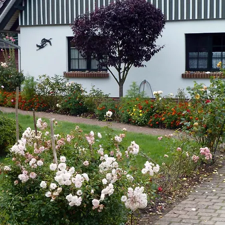 Apartment Kranichguck, App 1